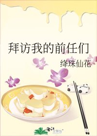 拜访我的前任们
